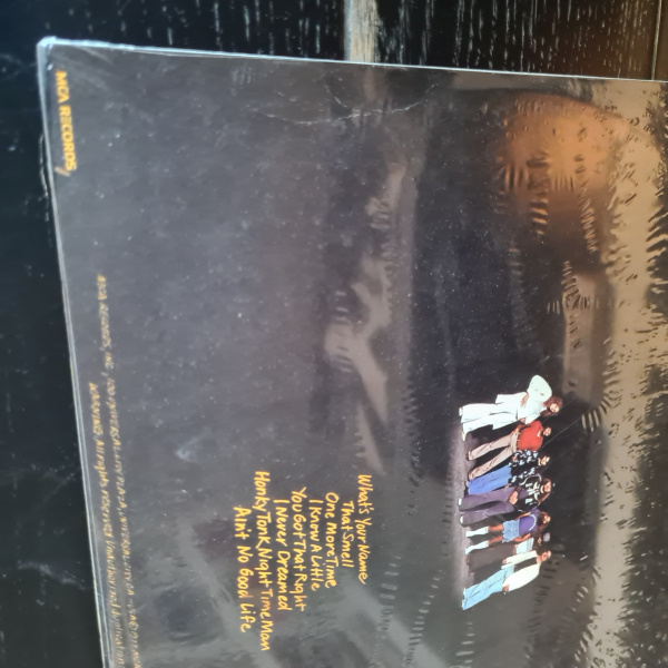 Lynyrd Skynyrd – Street Survivors