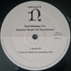 Brad Mehldau Trio – Seymour Reads The Constitution!